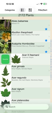 Minnesota Wildflowers Info. screenshot