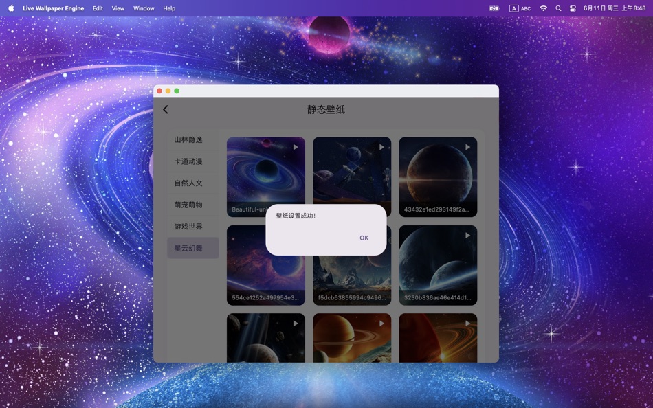 #1. Live Wallpaper Engine (macOS) 由: YunQu Ltd