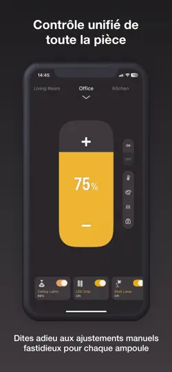 Capture d'écran de HomeLights Pour HomeKit sur iPhone 5