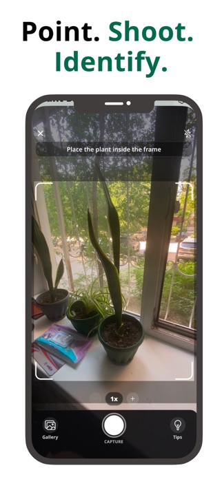 Plant Detector: Tree & Leaf Screenshot 2 of 4
