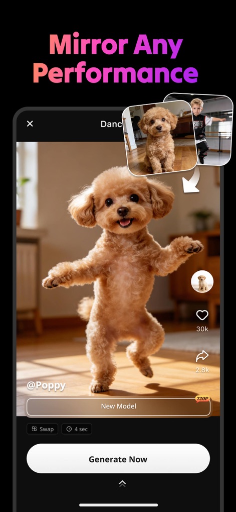 AI Video Generator : SelfyzAI - This feature allows users to apply a reference performance, such as a child dancing, to another subject like a poodle, generating a new animated video with adjustable duration.