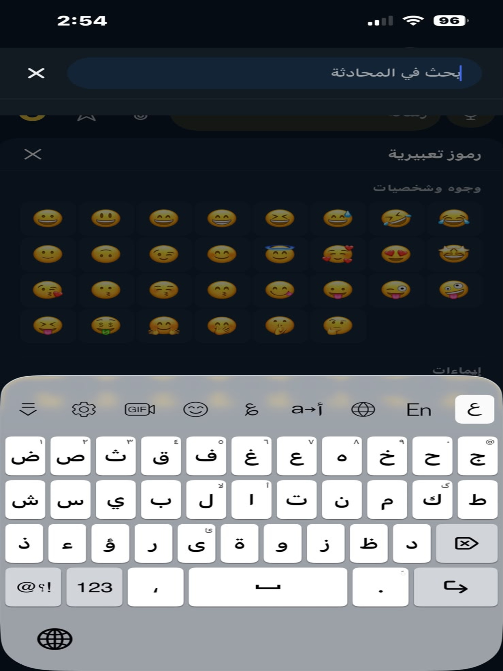 Lan Chat screenshot 19