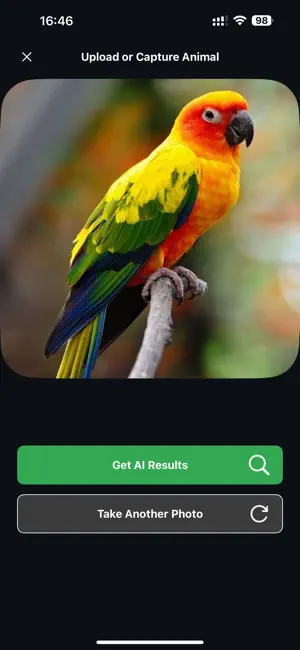 Bird Identifier: Photo & Sound screenshot 1