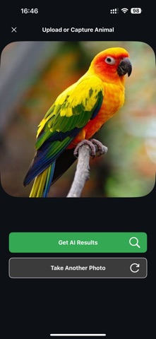 Bird Identifier: Photo & Sound screenshot