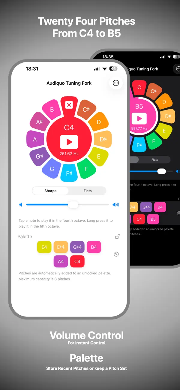 Screenshot #1 pour Audiquo Tuning Fork