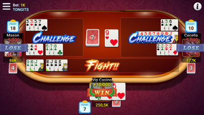 Vip Casino Screenshot