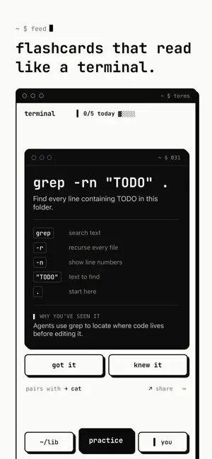 Terms: Learn Terminal Commands screenshot 1