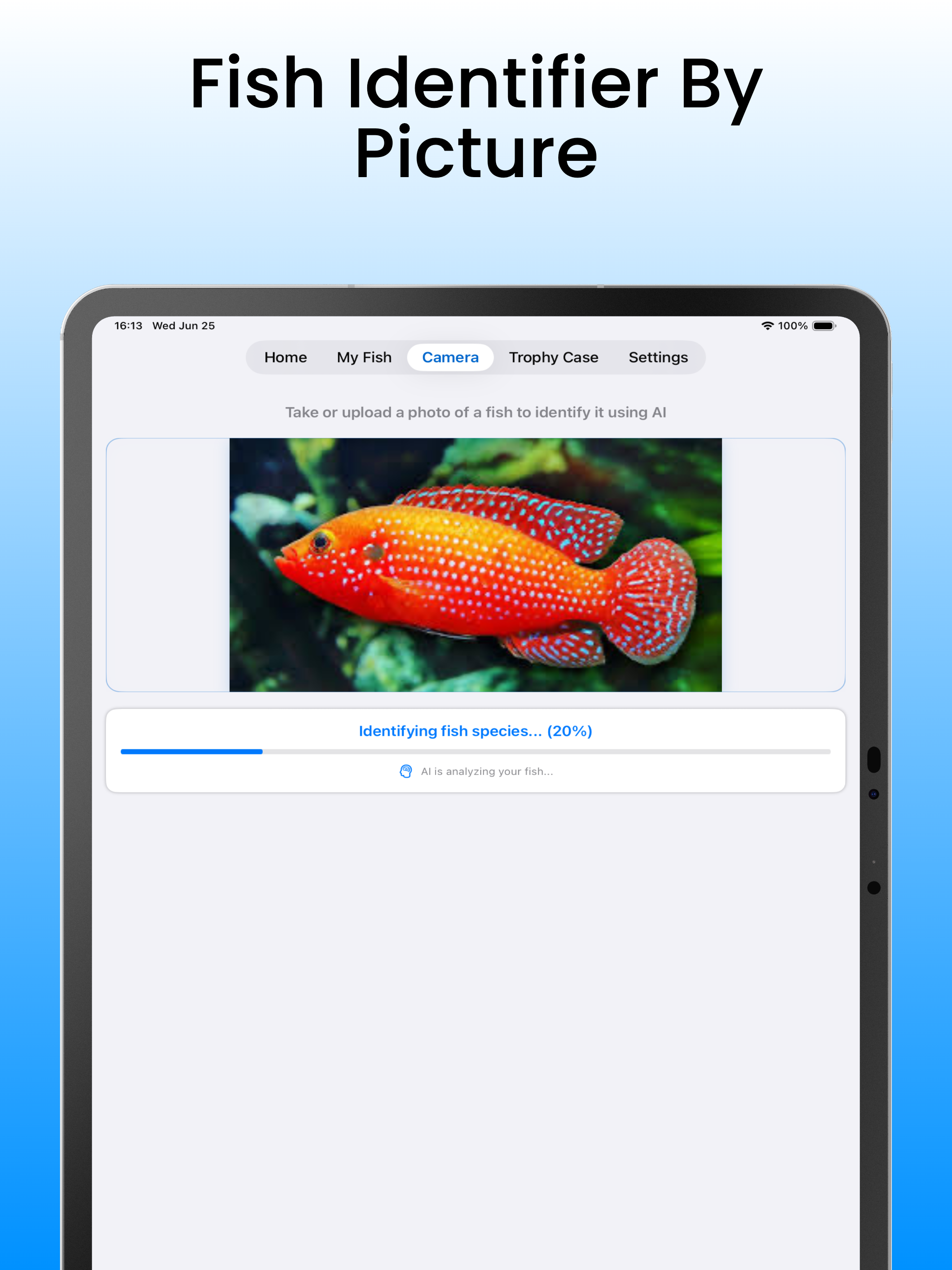 Fish Identifier: Fishtastic screenshot 11
