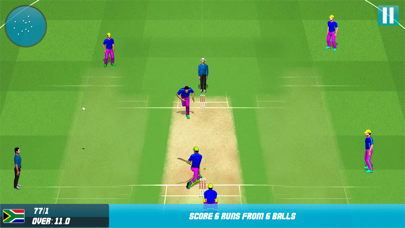 World T20 Cricket Championship Screenshot