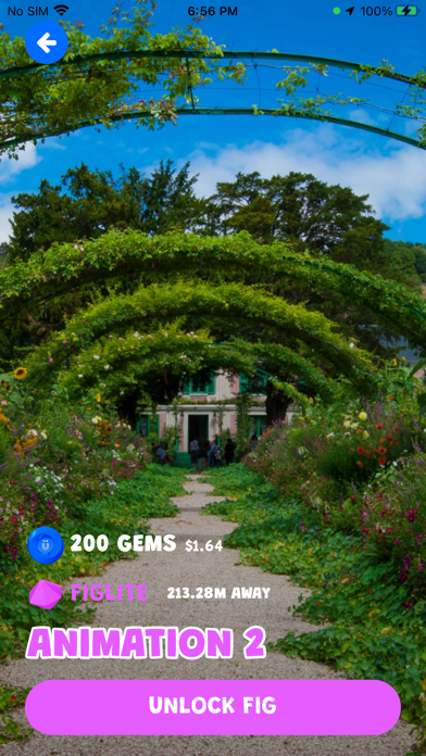 Figrun Screenshot
