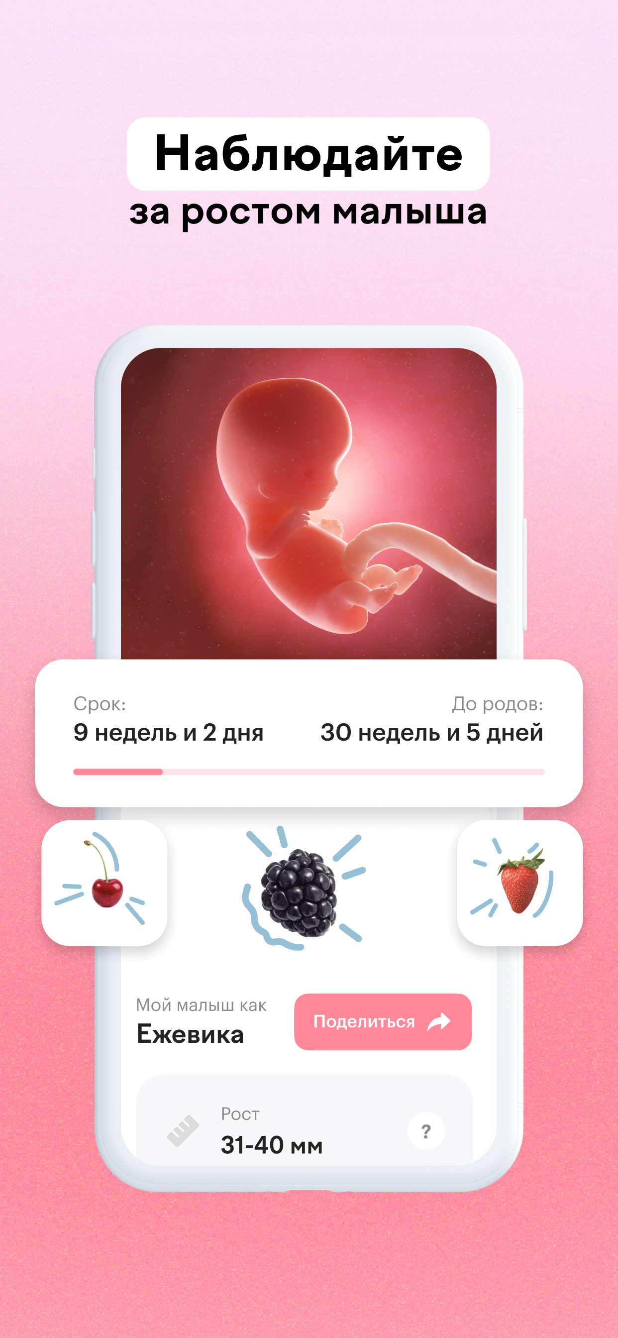 maam — календарь беременности