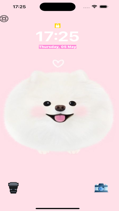 Cute Pomeranian dog wallpaper Screenshot