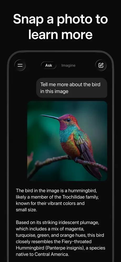 Grok­ screenshot 3