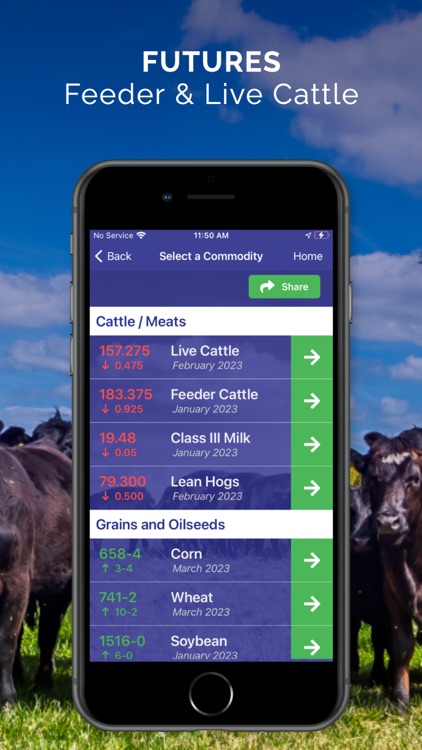 Cattle Market Mobile