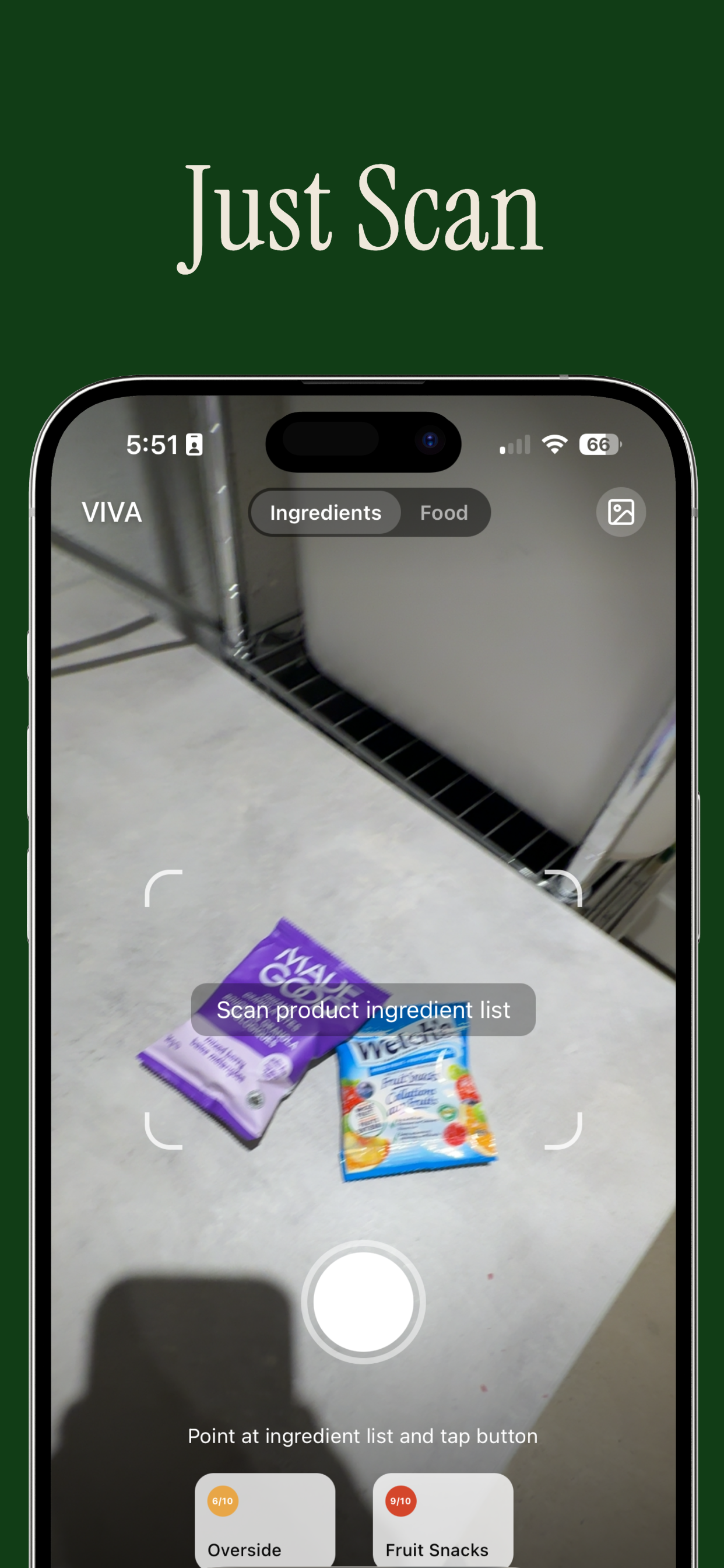 Viva: Food Intelligence