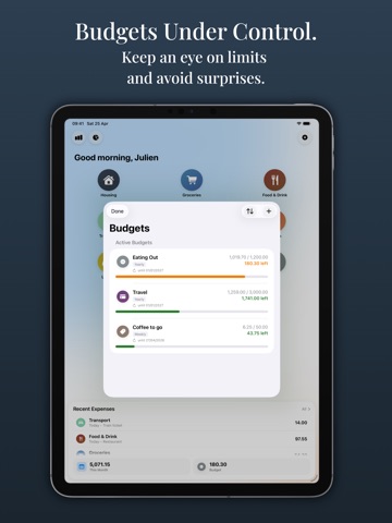 Aurum – Budget & Expenses iPad screenshot