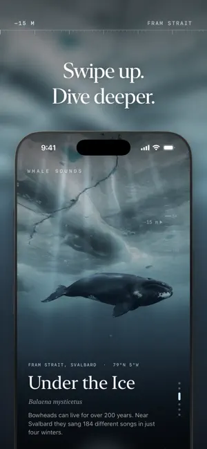 Whale Sounds: Sleep & Relax screenshot 3