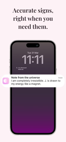 Viberise: Manifest & Attract screenshot