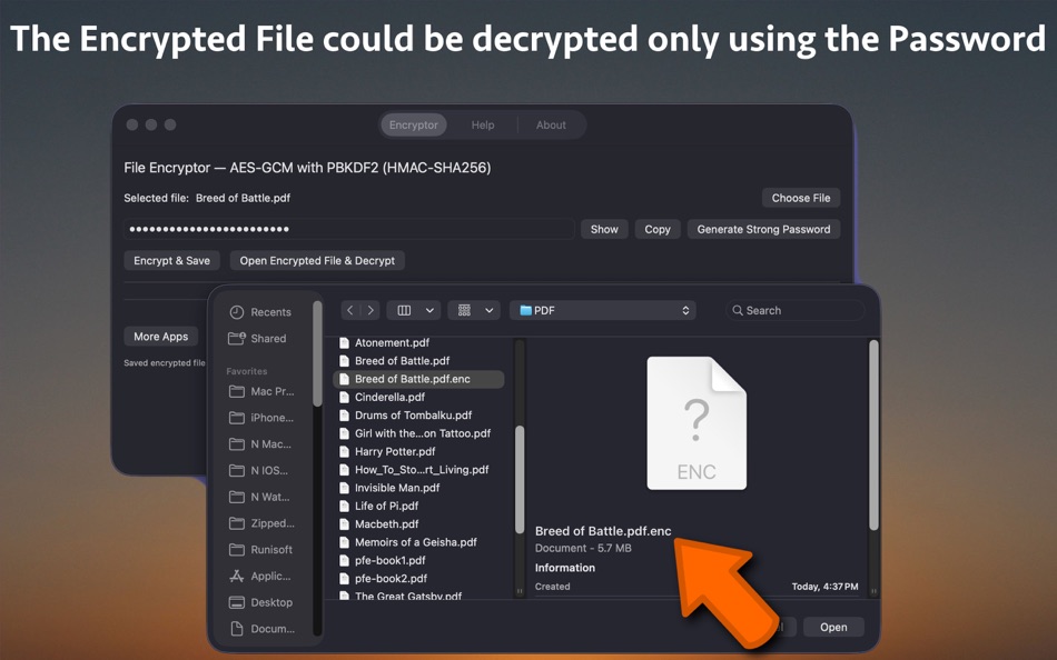 #3. Secure File Encryptor Pro (macOS) 来自: Nikhil Anshuman