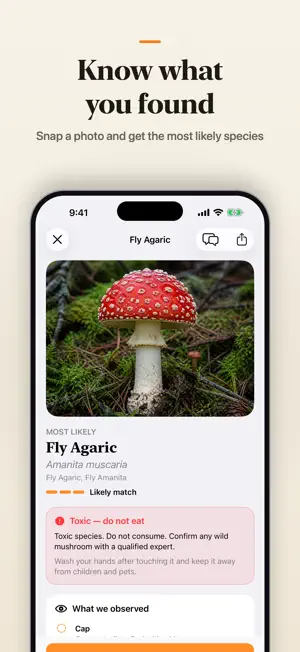 Mushroom Identifier: MushSnap screenshot 1