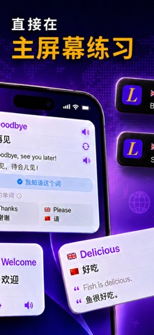 Lingo Widget: 每日词汇 screenshot