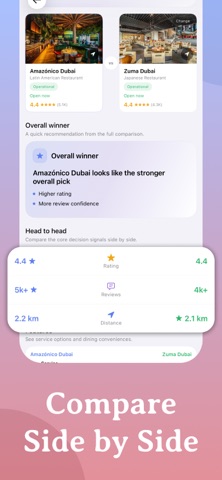 Placevu screenshot