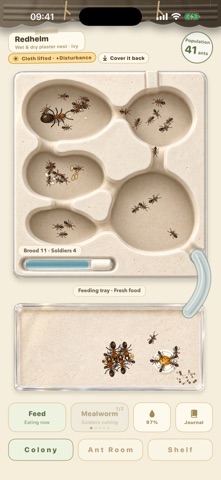 Queen Ant Screenshot 1 of 5