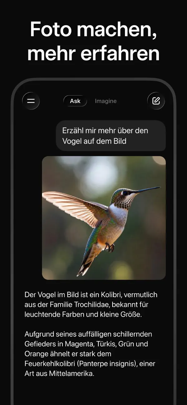 Grok - KI Assistent iPhone App Screenshot 4 – Produktivität