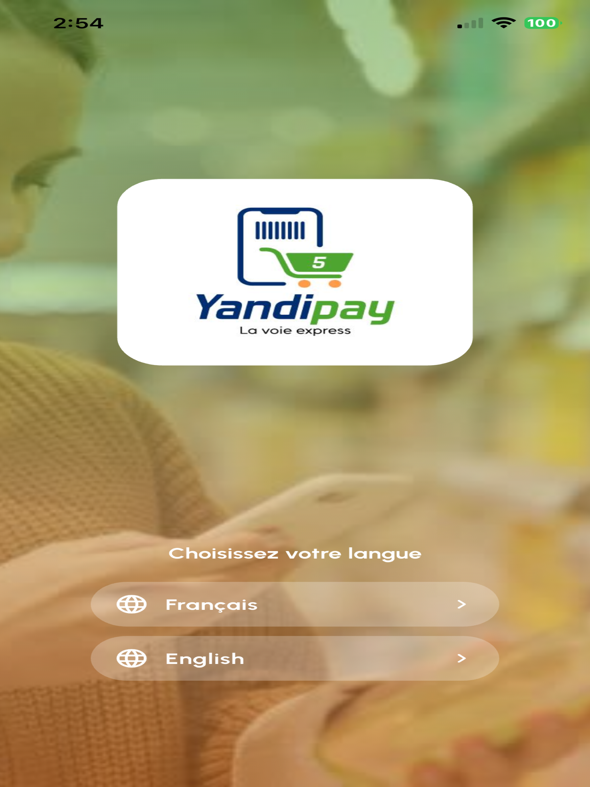 Yandipay screenshot 16