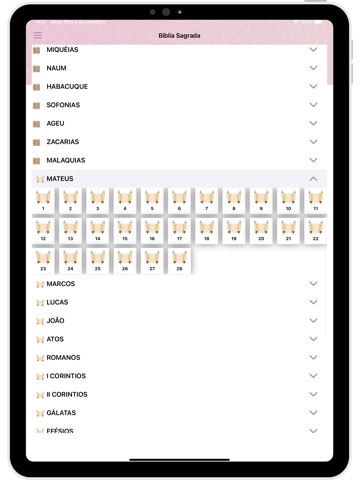 Biblia da Mulher iPad screenshot