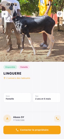 Univers des ladoums screenshot