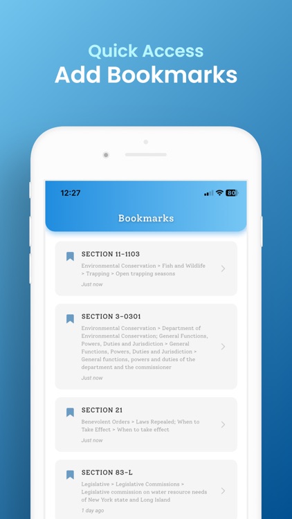 New York Laws screenshot-4