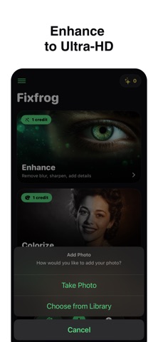 FixFrog screenshot