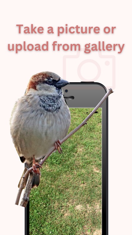 Bird ID AI Scanner Learn