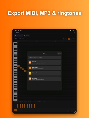 MIDI Editor• iPad screenshot