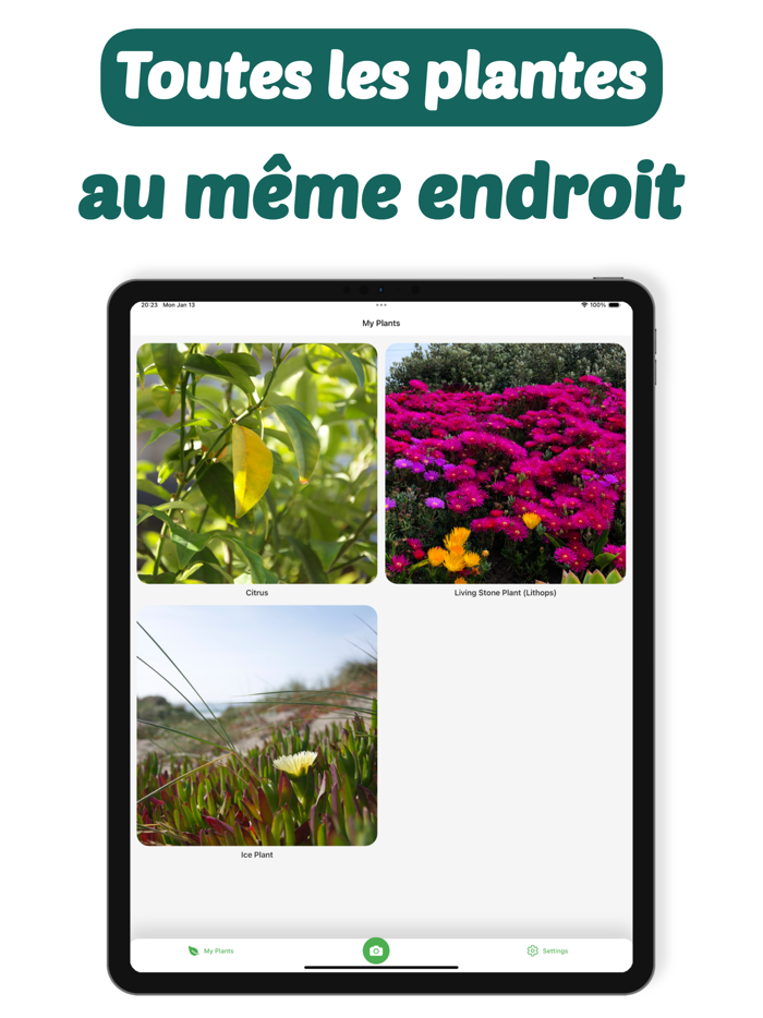 Plant Identifier PlantCam