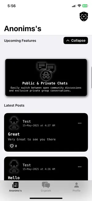 The Anon screenshot 1