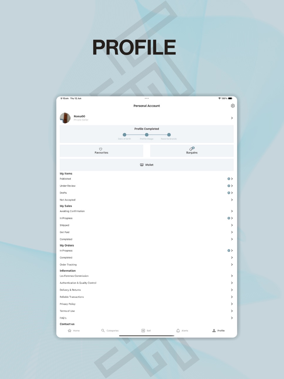 iPad screenshot