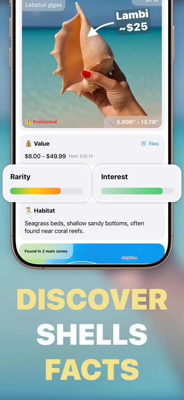 #2. Sea Shell Identifier - Shellie (iOS) di: NBApps