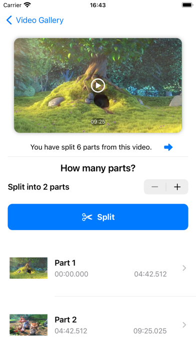 VidVid - Split Video Screenshot