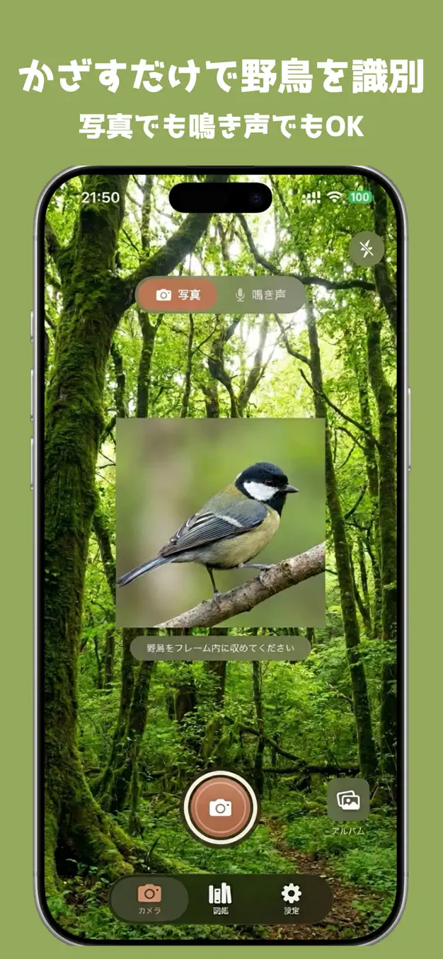 BirdLens - 野鳥AI図鑑 スクリーンショット 1