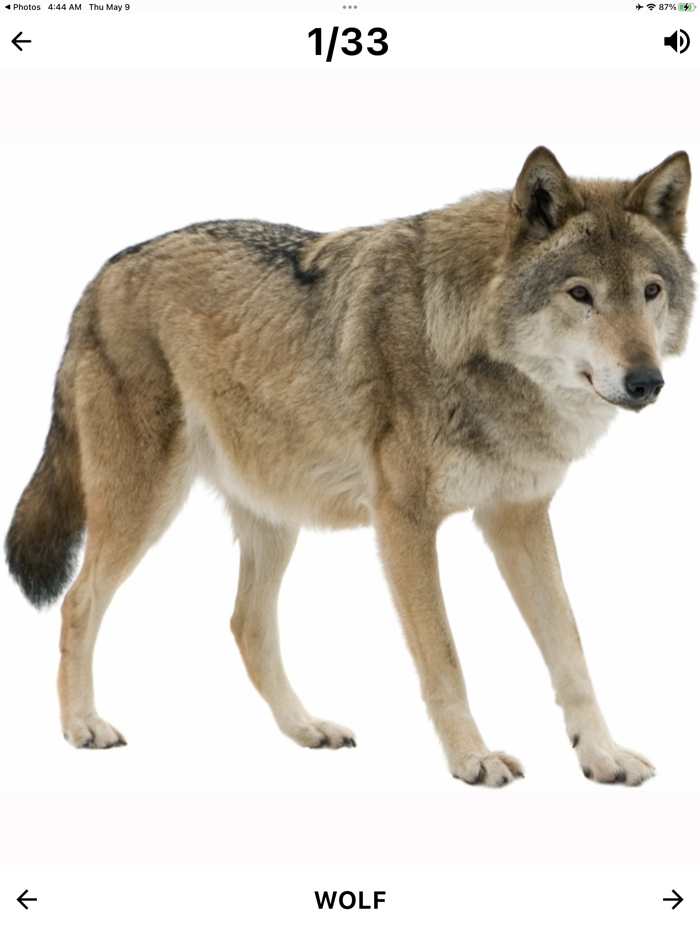 Flashcard English for beginner