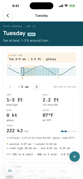 Alani Surf screenshot 4
