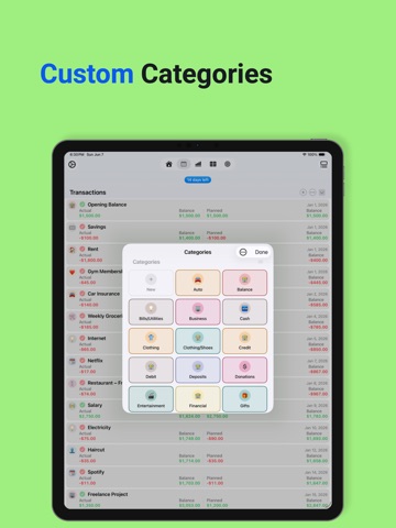 Plan & Spend : Budget Planner iPad screenshot