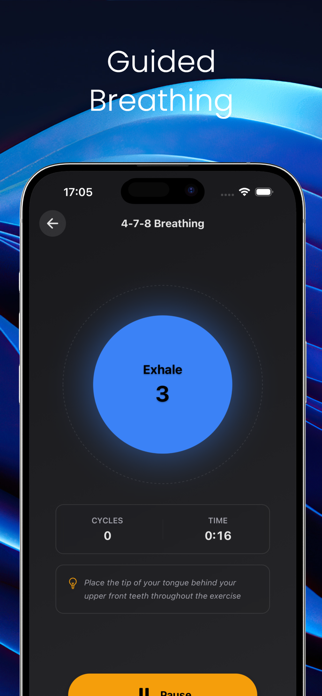 Breathflow: Calm & Focus Screenshot 4 of 5