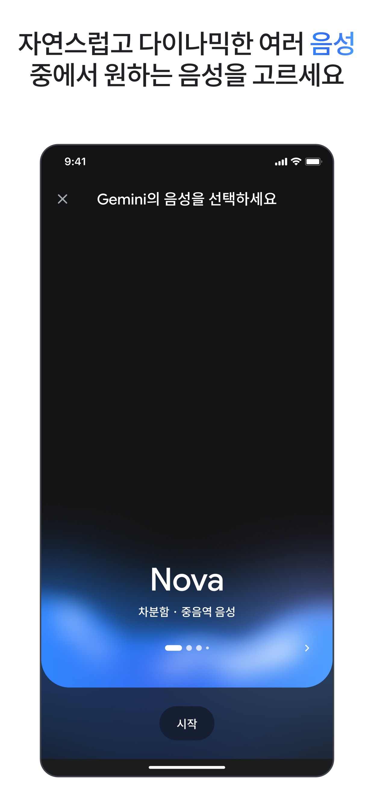 Google Gemini 스크린샷 9