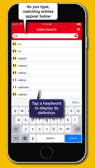 Romanian Dictionary Hoepli Screenshot