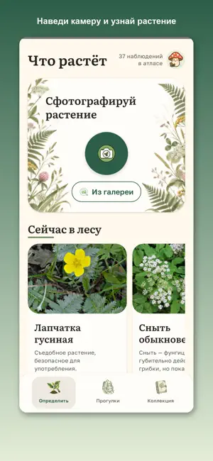 Что растёт screenshot 1