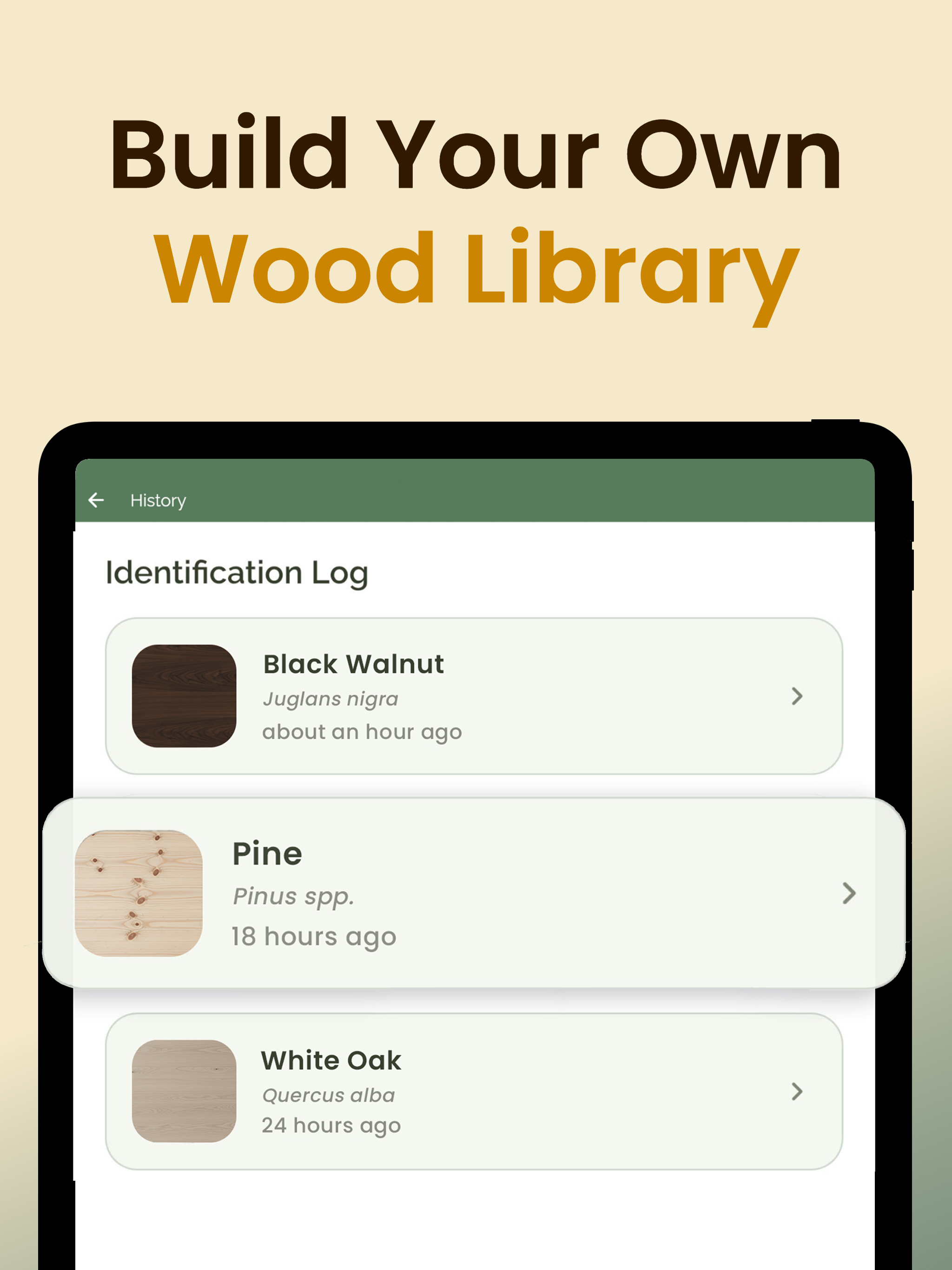 Wood Identifier: AI Lumber ID screenshot 8