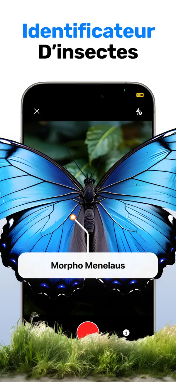 Screenshot #1 pour Identifier insectes: Bug ID